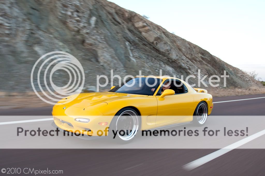 [Image: FD6_3092.jpg]