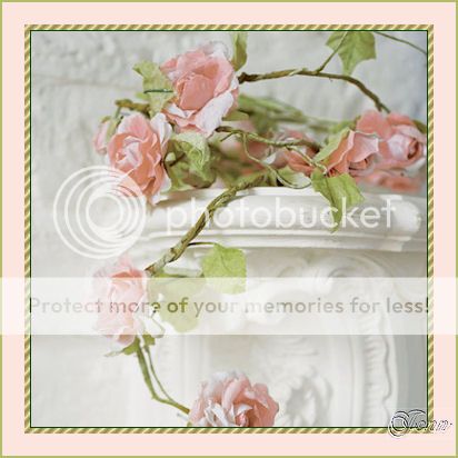 photo Rose3_zps1edf4457.jpg