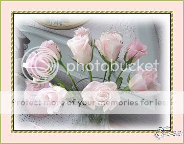 photo Rose5_zps916b2fd2.jpg