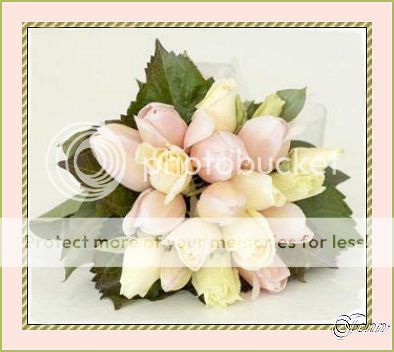 photo Rose9_zps3e2517a2.jpg