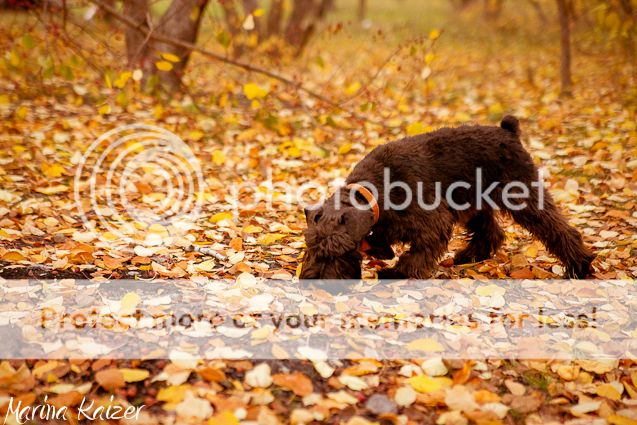 Иришка! Photobucket