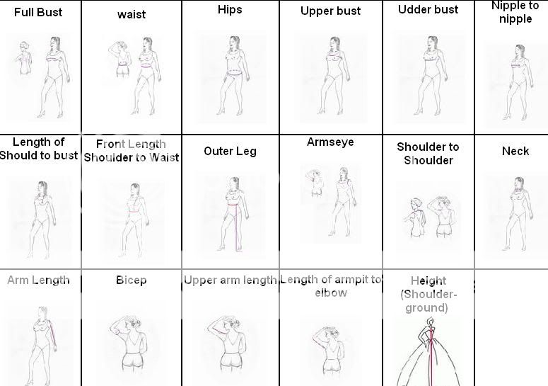 Measurments.jpg picture by redrosedress