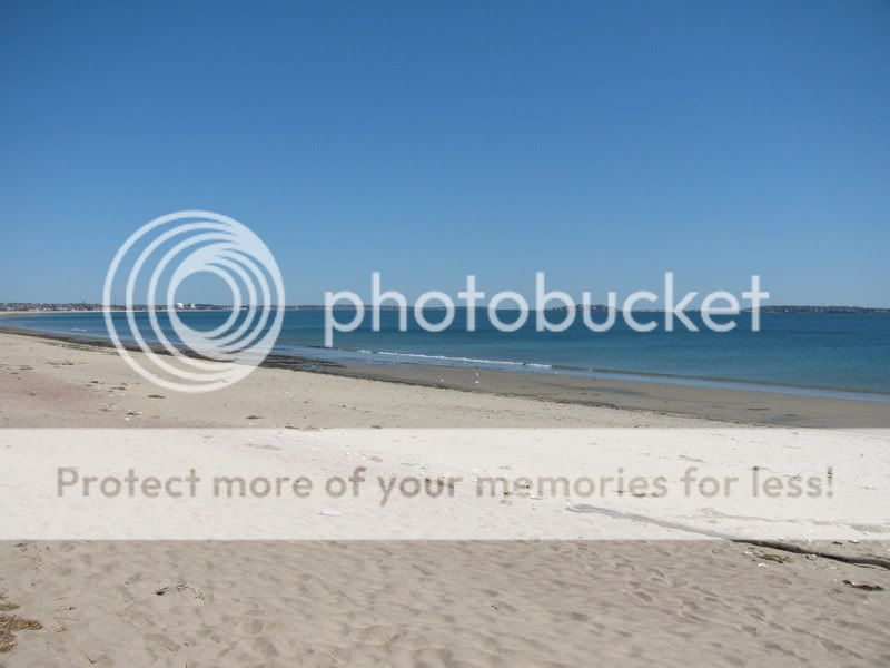 Posted Image