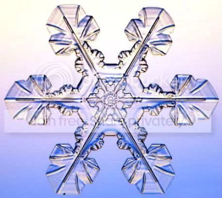 放大1000倍后的雪花是什么样的呢