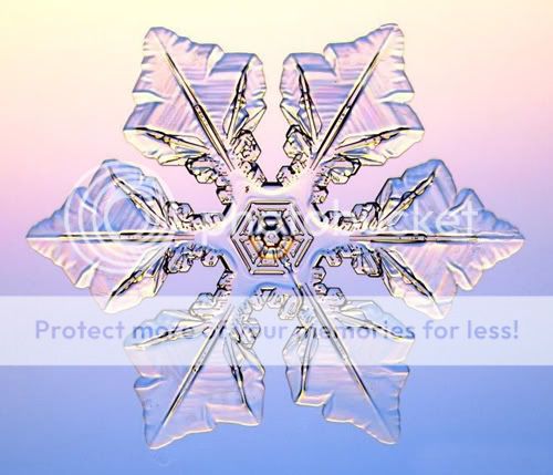 放大1000倍后的雪花是什么样的呢